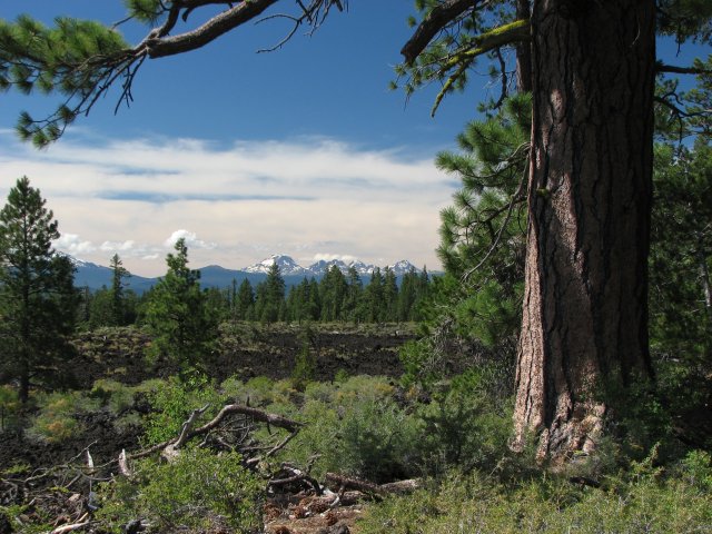View towards Cascades